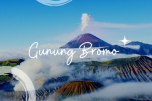 Panduan Wisata Dari Jogja Ke Bromo Via Probolinggo Dengan Mobil