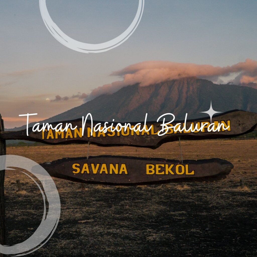 tips sebelum ke baluran