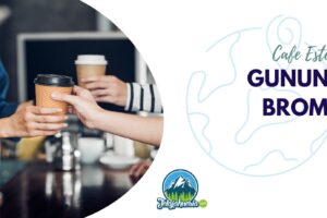 Daftar Cafe di Gunung Bromo Yang Estetik dan Keren