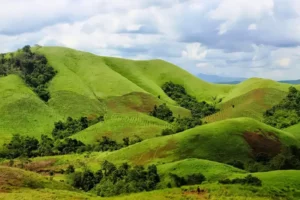 Bukit Teletubbies Bromo Mulai Hijau Lagi Setelah Tragedi Pre Wedding