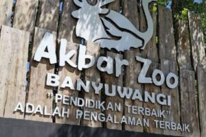 Akbar Zoo Banyuwangi: Mini Zoo Nya Banyuwangi
