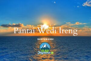 Pantai Wedi Ireng Banyuwangi: Destinasi Wisata Yang Masih Letari Alamnya