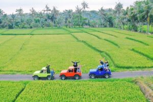 Capas Advanture Land Banyuwangi: Menikmati Alam Banyuwangi Dengan Menjelajahinya