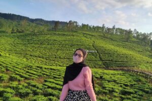 Panduan Wisata Kebun Teh Kertowono Gucialit Lumajang