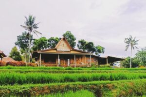 Taman Songgo Langit Banyuwangi: Menukmati Senja Di Dataran Tinggi Banyuwangi