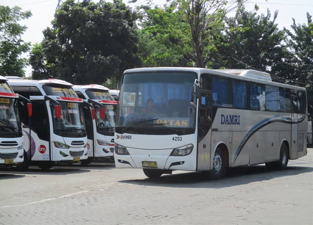 Angkutan Wisata Gratis Banyuwangi Untuk Wisatawan JELAJAHNESIA ID Angkutan Wisata Gratis Banyuwangi Untuk Wisatawan JELAJAHNESIA ID