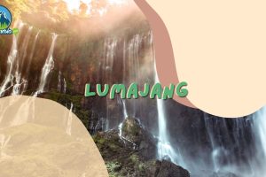 Seharian Di Lumajang Ngapain Aja?