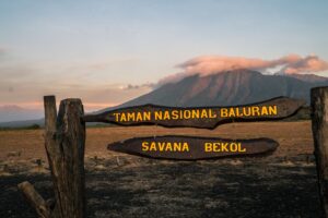 Taman Nasional Baluran Tutup? Ini Alasannya!
