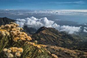 Panduan Mengunjungi Lombok Lengkap!