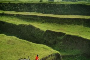 Lembah Diyeng Gempol Pasuruan, Keindahan Tersembunyi Di Dekat Bromo