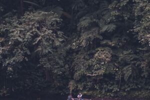 Ranu Darungan Lumajang yang Mempesona