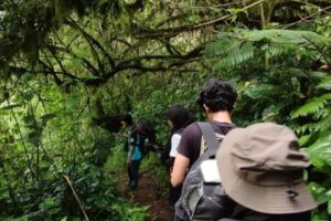 4 Rekomendasi Wisata Tracking di Bandung Yang Wajib untuk Dikunjungi
