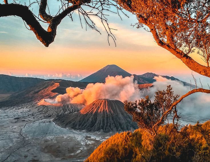 dari jakarta ke bromo