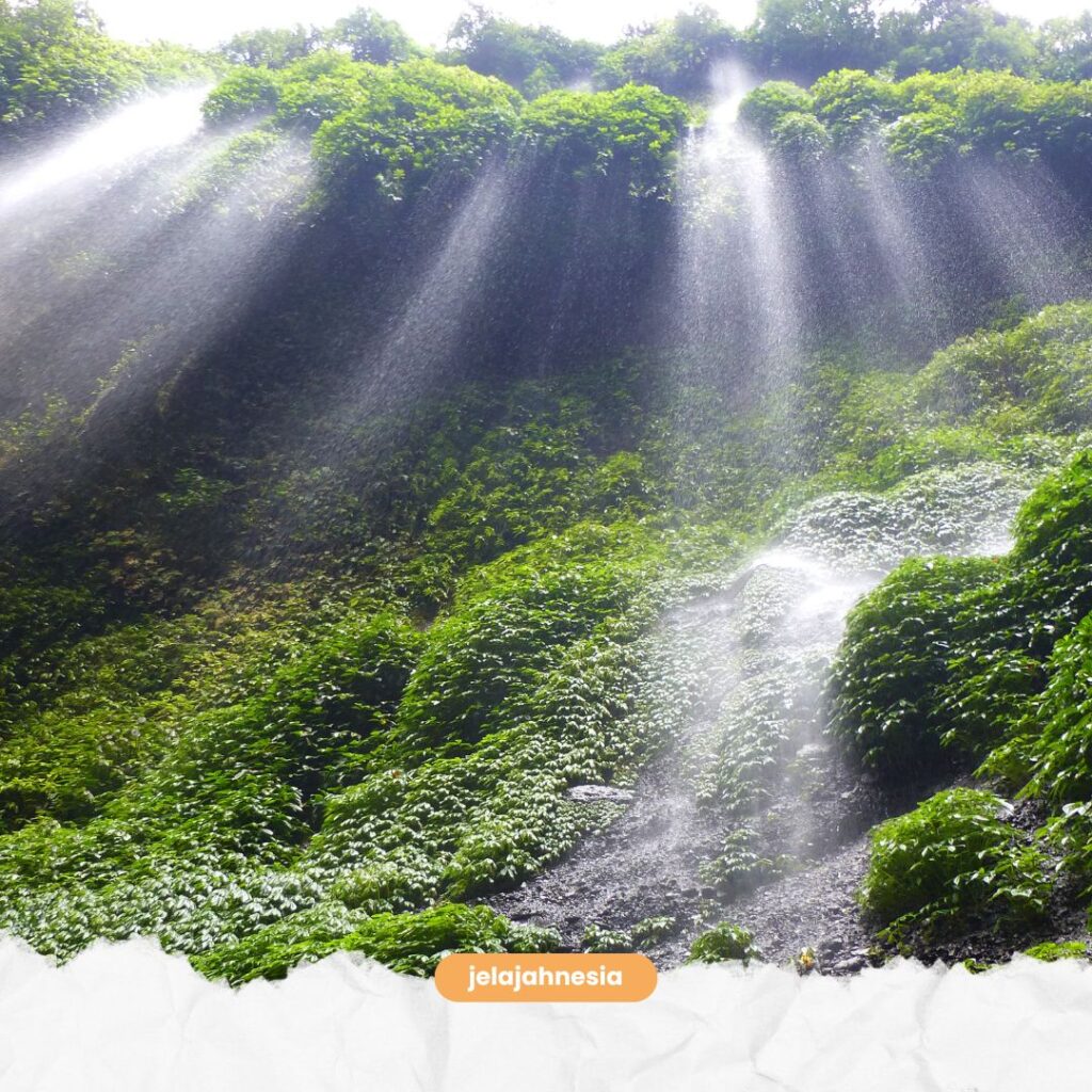 Rute Air Terjun Madakaripura