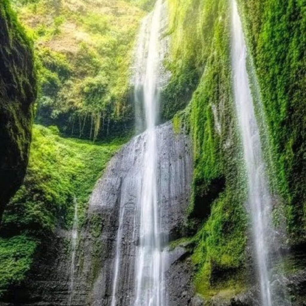 5 wisata alam di pronojiwo