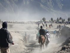 Harga Sewa Kuda di bromo