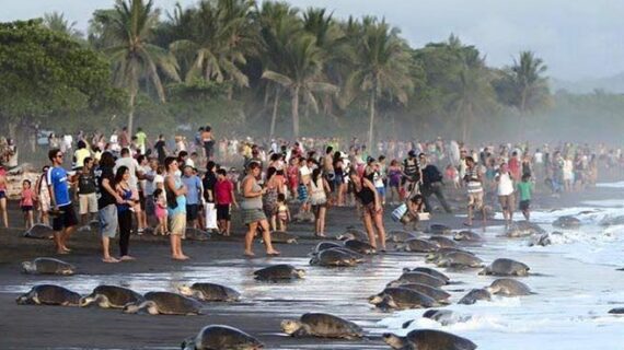 Pantai Banyuwangi