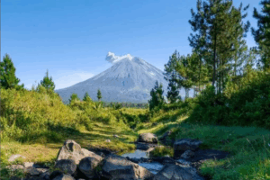 Tiket Masuk Sarkawi Lumajang, Camping Ground Viral Terbaru