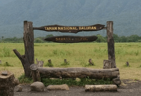 taman nasional baluran