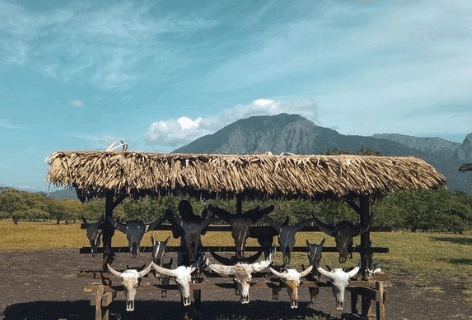 Keindahan Savana Baluran