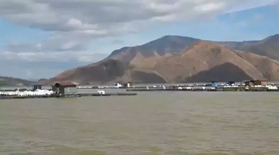 Danau Toba Menguning