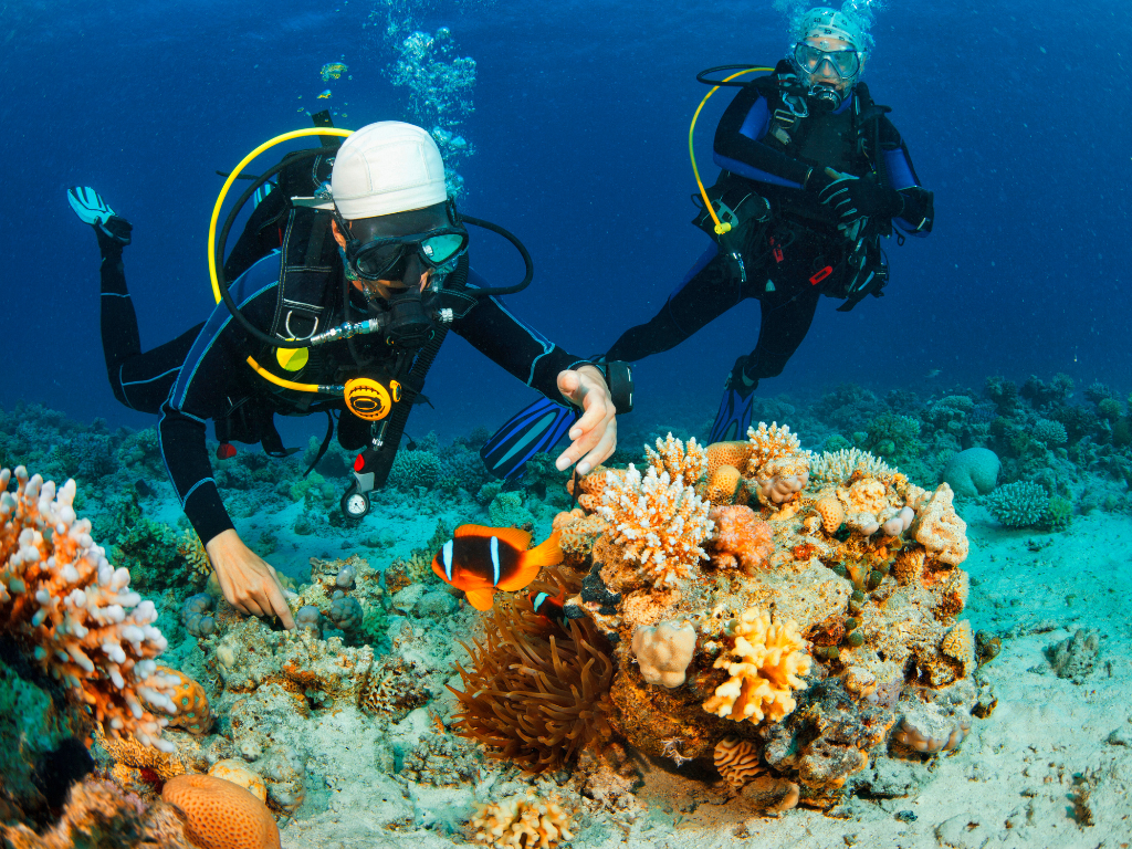 wisata pulau alor
