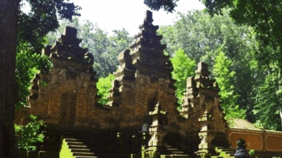 Safari Seru di Alas Purwo