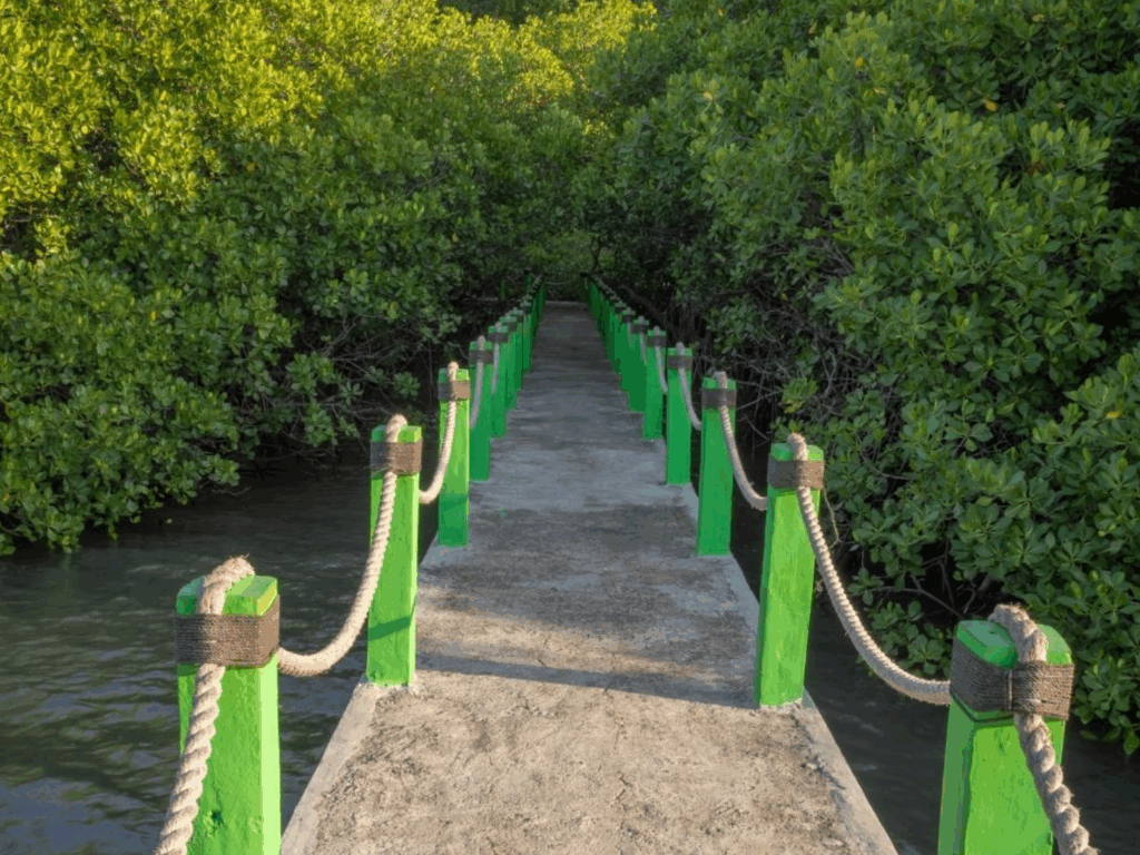 hutan mangrove bama