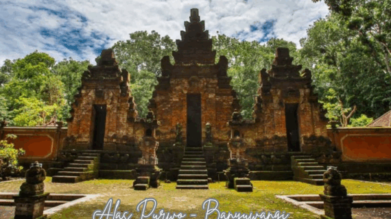 Spot Terbaik di Alas Purwo