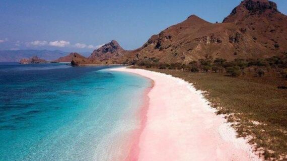 Pink Beach Labuan Bajo.
