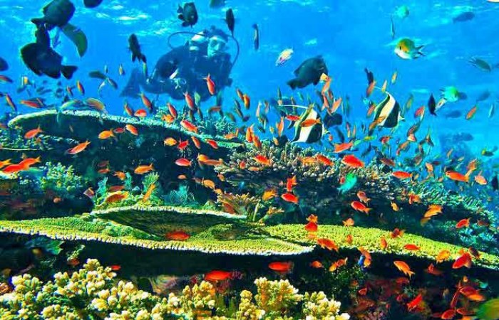 SNORKELING DI LABUAN BAJO