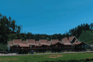 Sejarah dan Fakta Menarik Desa Ranu Pani: Pesona Tersembunyi di Kaki Semeru