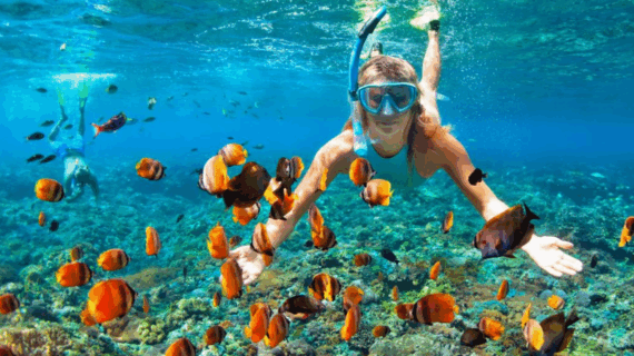 snorkeling di jawa timur