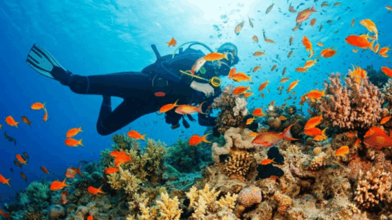 diving di jawa timur