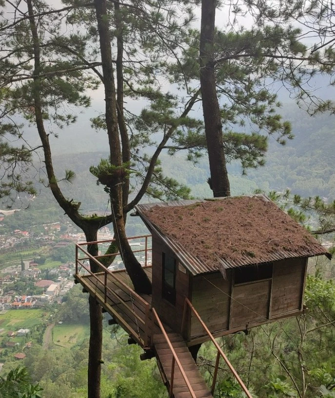 Omah kayu gunung banyak