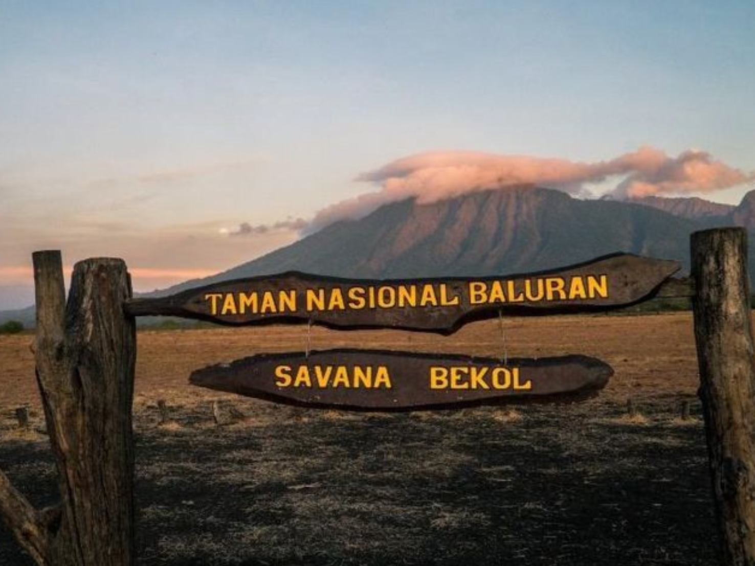 taman nasional baluran