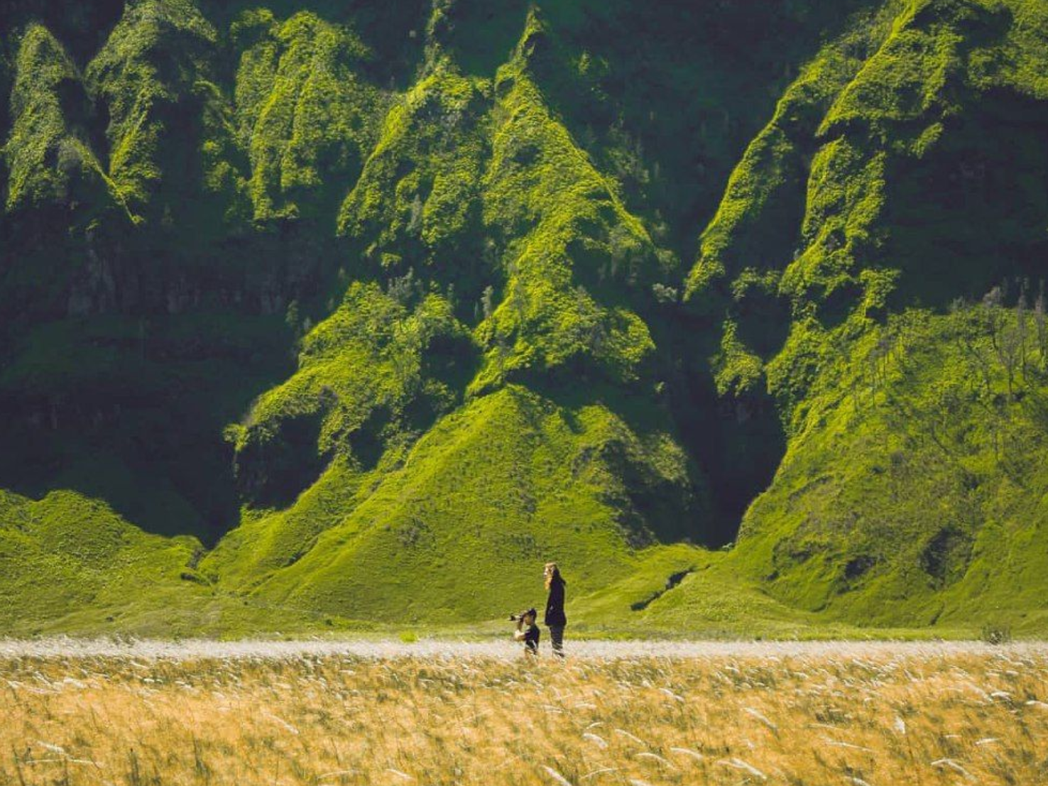 Bromo Green Season