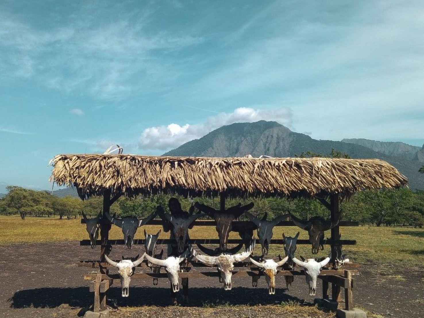 taman nasional baluran