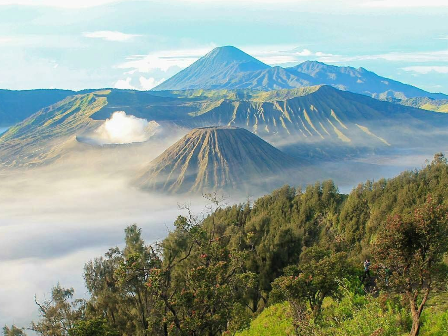Bromo Green Season