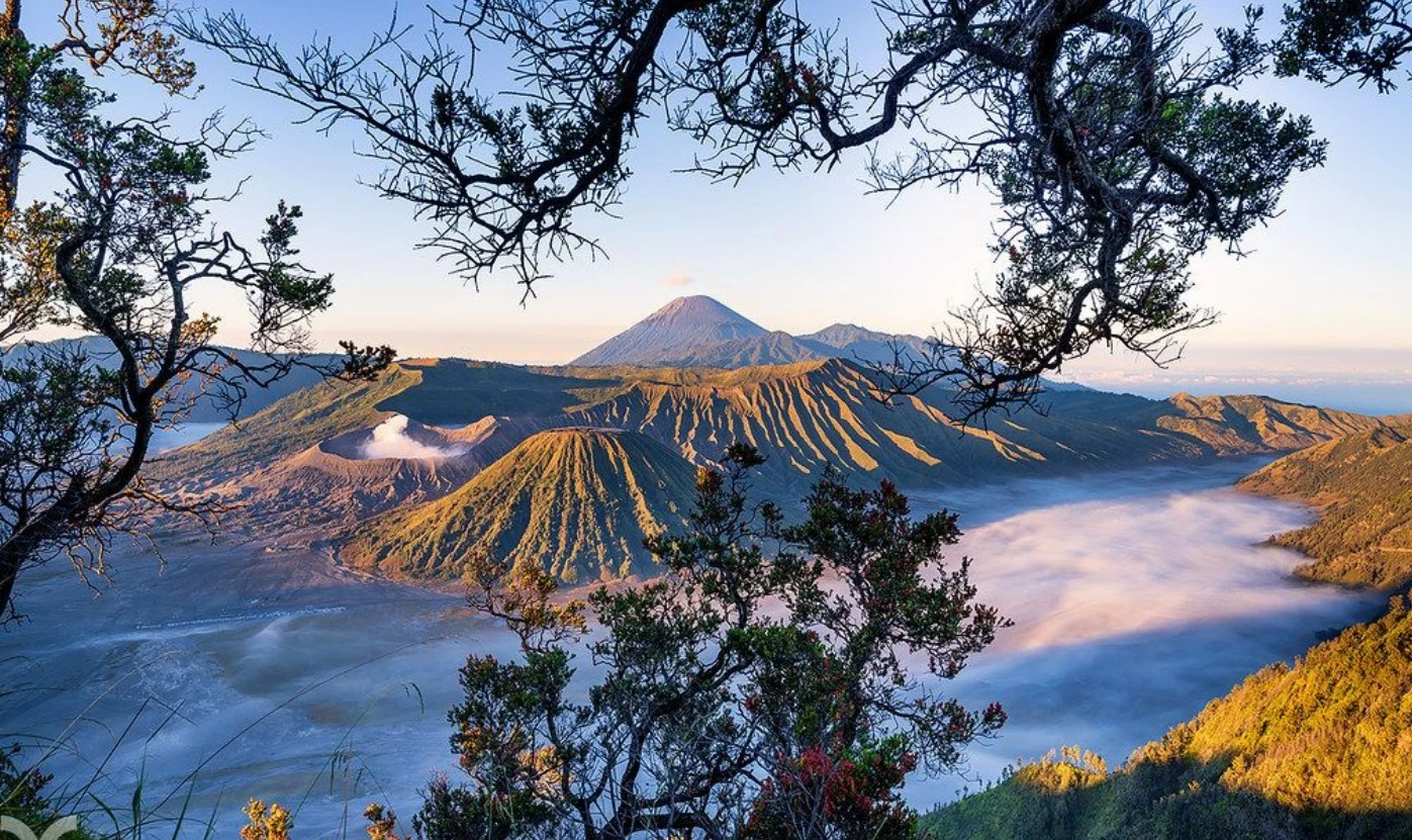 Bukit Cinta Penanjakan Bromo