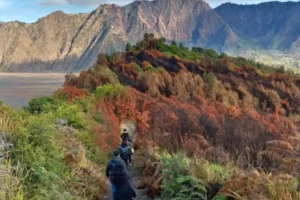 Bukit Mentigen Bromo: Spot Sunrise Tenang di Mentigen Hill