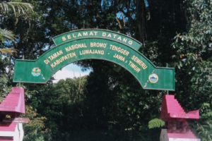 Perbedaan Rute Bromo via Wonokitri, Pasuruan, Probolinggo, Lumajang: Mana yang Terbaik?