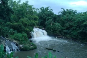 Coban Amprong Malang: Sungai Amprong, Akses & Spot Camping Terbaik
