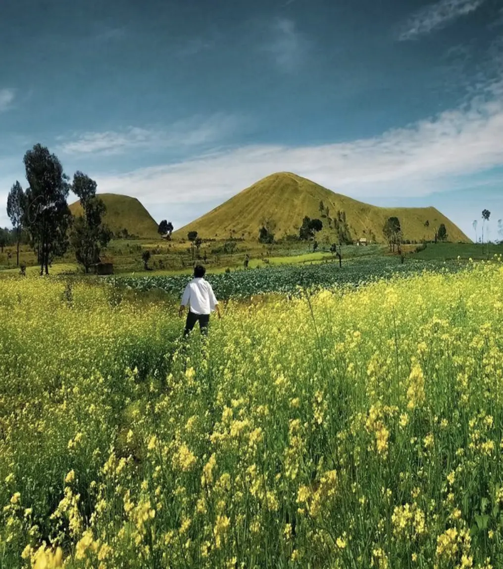 wisata kawah wurung jawa timur