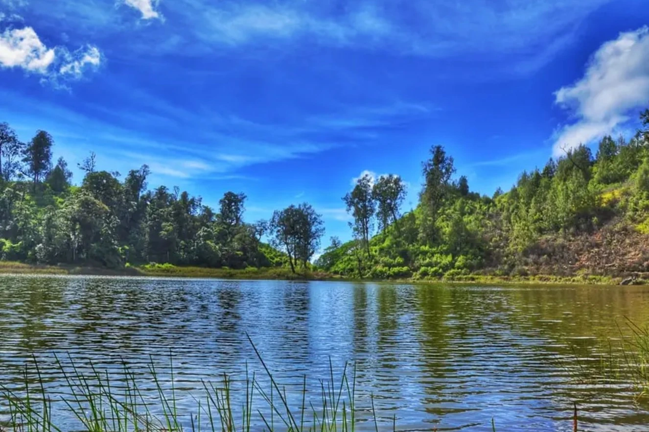 pemandangan danau Ranu Pani saat pagi hari
