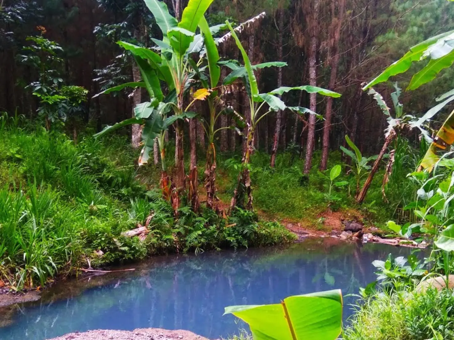 Kali Biru Tlogosari