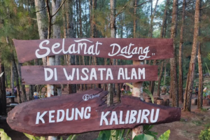 Kali Biru Tlogosari: Hidden Gem Banyuwangi dengan Air Sebening Kristal