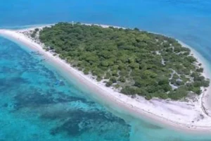 7 Fakta Menarik Pulau Tabuhan Banyuwangi + Cara ke Pulau Tabuhan, Harga & Aktivitas Seru (Lengkap 2026)