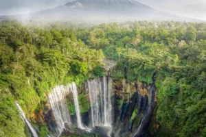 5 Wisata di Lumajang Paling Hits 2026, Hidden Gem Cantik yang Lagi Viral!