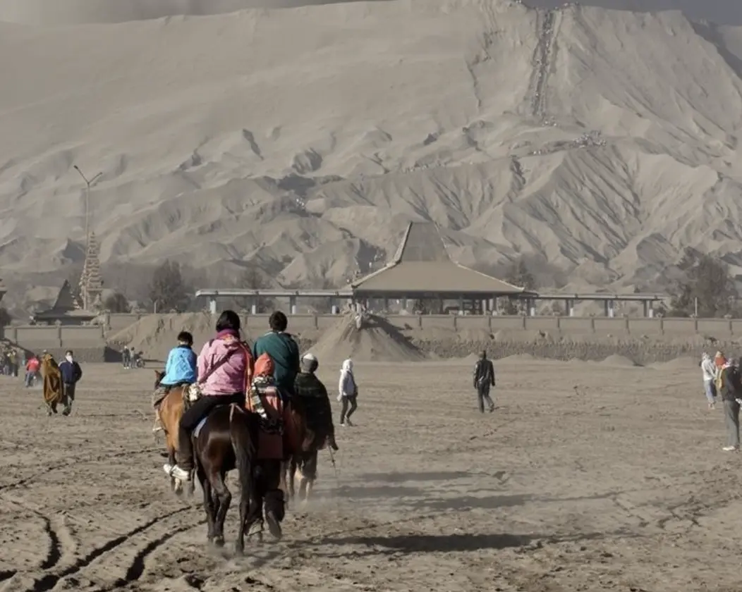 kuda bromo